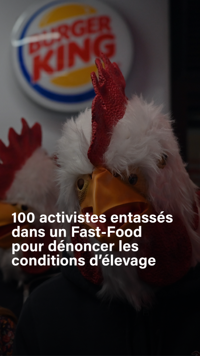 Des militants de L214 mènent une action dans un Burger King